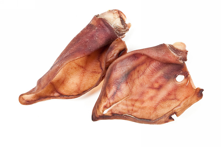 Schweineohrenbruch