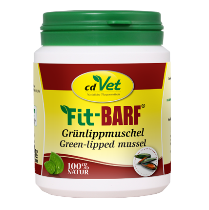 Grünlippmuschel